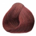 Black Mahagony Dark Blond 6.5 mahagonově tmavě hnědá