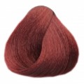 Black Purple Red 6.6 purpurově červená, barva na vlasy