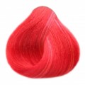 Black Red G.P. 0.6 červená G.P., barva na vlasy
