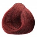 Black Violet Red 6.67 fialově červená, barva na vlasy