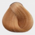 Lovien Lovin Color Extra Light Golden Blonde 9.3 zlatá blond velmi světlá - barva na vlasy  Lovien 