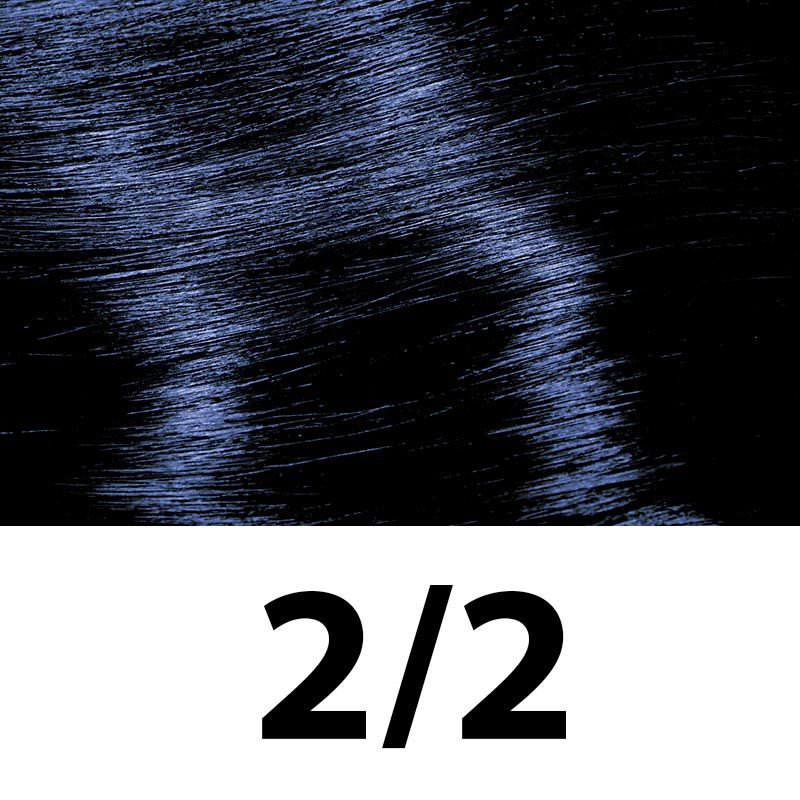 Barva na vlasy Subrina permanent colour 2/2 - modro černá 100ml